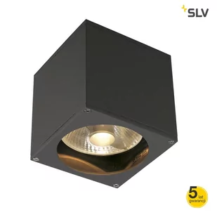 Spotline Big Theo Single Wall (229564) - - Lampy pozostałe - miniaturka - grafika 2