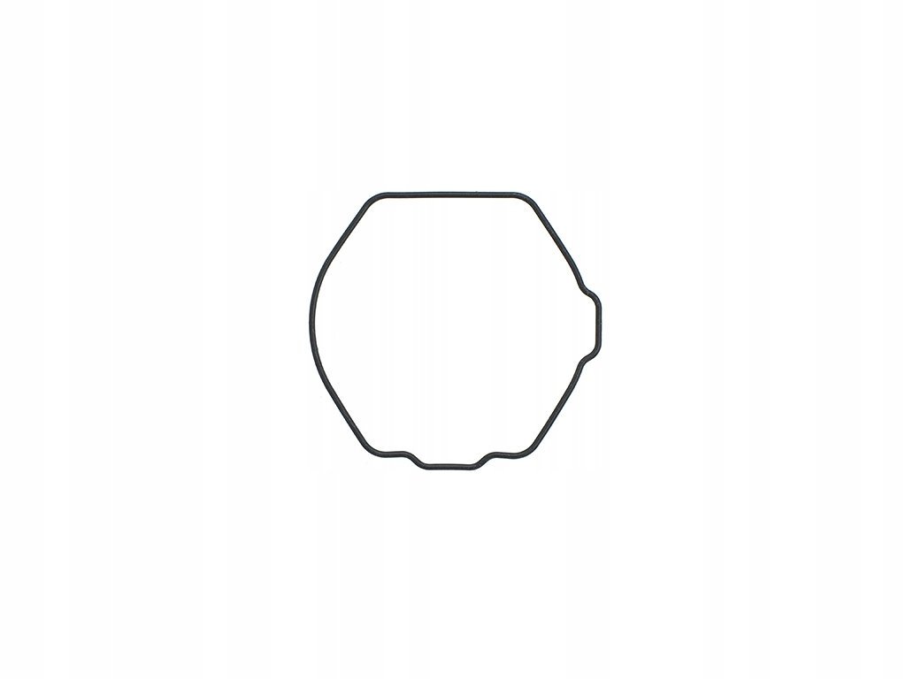 Oryginalna uszczelka dekla do CASIO G-9200 GW-9200