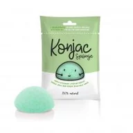 Akcesoria do oczyszczania twarzy - Diet-Food Diet-Food Konjac Sponge gąbka do twarzy z rośliny konjac Zielona/Green 1szt - miniaturka - grafika 1