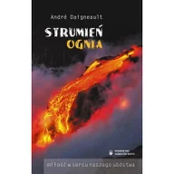 Książki religijne obcojęzyczne - Strumień ognia - Andre Daigneault - miniaturka - grafika 1
