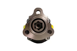 Pompa hydrauliczna zębata 25l dwukierunkowa na 3 śruby marki Fabrazi - Akcesoria do hydrauliki siłowej - miniaturka - grafika 5