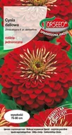 Nasiona i cebule - Nasiona Cynia daliowa czerwona - Torseed - miniaturka - grafika 1
