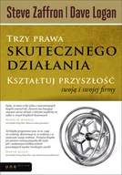 Zarządzanie - Trzy prawa skutecznego działania. Kształtuj przyszłość swoją i swojej firmy - miniaturka - grafika 1