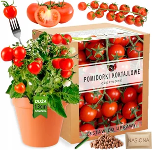Pomidorki Koktajlowe Pomidory Zestaw do uprawy XL nasiona pomidorów - Nasiona i cebule - miniaturka - grafika 1