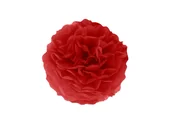 Dekoracje sali - Dekoracja wisząca pompon kwiat - czerwony - 25 cm - 1 szt. - miniaturka - grafika 1