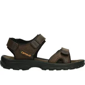 Buty trekkingowe męskie - Sandały turystyczne męskie Campus Albera - miniaturka - grafika 1