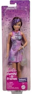 Barbie Family&Friends Lalka Skipper JBF41 - Lalki dla dziewczynek - miniaturka - grafika 1