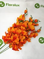 Sztuczne kwiaty - Mieczyk Do Wazonu 12 Szt Kwiat Sztuczny Wyrobowy 70 cm Bukiet Stroik - miniaturka - grafika 1