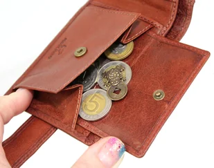 Portfel Męski Skórzany EL FORREST Mały Z Zapinką Skóra Bydlęca Poziomy 916 R 29 RFID BRĄZOWY 11 x 8 x 2 [cm] - Portfele - miniaturka - grafika 9