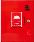 Zawory i kraniki - Zawór hydrantowy typ ZH-52 (2 sztuki) wraz z obudową, szafka ochronna 520 zawieszana, znak B, zamek OTS, kolor czerwony RAL3000 - miniaturka - grafika 1