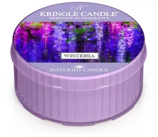 Świece - Kringle Candle Daylight Wisteria - świeczka zapachowa 42 g - grafika 1