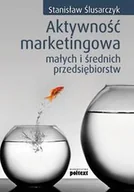 Marketing - Aktywność Marketingowa Małych i Średnich Przedsiębiorstw - miniaturka - grafika 1
