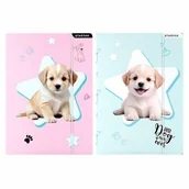 Teczki i skoroszyty - Starpak Teczka z gumką A4 Doggy 559706 - miniaturka - grafika 1