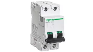 Hager Wyłącznik-nadprądowy-2P-C-50A-10kA-DC-C60H-DC-C50-2 A9N61538 - Wyłączniki światła i elektryczne - miniaturka - grafika 1