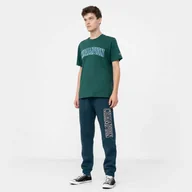 Spodnie sportowe męskie - Męskie spodnie dresowe CHAMPION ROCHESTER Rib Cuff Pants - miniaturka - grafika 1