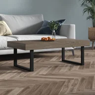 Ławy i stoliki kawowe - Lumarko Stolik kawowy, szaro-czarny, 120x60x40 cm, MDF i żelazo - miniaturka - grafika 1