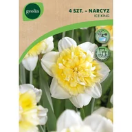 Nasiona i cebule - Narcyz Ice King 10/12 4szt. cebulki kwiatów Geolia - miniaturka - grafika 1