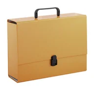Teczki i skoroszyty - Penmate Tadeo Trading Tadeo Trading Teczka z rączką A4 10cm pomarańczowa pastelowa Tadeo Trading TARGI AD027TT - miniaturka - grafika 1