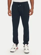 Spodnie męskie - Tommy Jeans Joggery Austin DM0DM20283 Granatowy Slim Fit - miniaturka - grafika 1