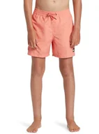 Kąpielówki dla chłopców - Quiksilver Boy's Everyday Solid Volley YTH 14 Board Shorts (1 opakowanie) - miniaturka - grafika 1
