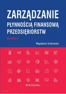 Zarządzanie - Zarządzanie płynnością finansową przedsiębiorstw - miniaturka - grafika 1