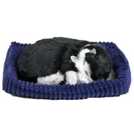 Maskotki i pluszaki - Plenty Gifts Perfect Petzzz Pluszowy kot brytyjski krótkowłosy, 92554 - miniaturka - grafika 1