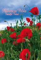 Kalendarze - Kalendarz 2023 A3 Malownicza Polska AVANTI - miniaturka - grafika 1