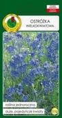 Nasiona i cebule - Ostróżka wielkokwiatowa niebieska 0,5 g PNOS - miniaturka - grafika 1