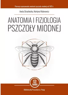 Anatomia i fizjologia pszczoły miodnej - Nauki przyrodnicze - miniaturka - grafika 1