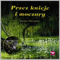 Muzyka relaksacyjna - Przez Knieje i Moczary Głosy Ptaków - miniaturka - grafika 1