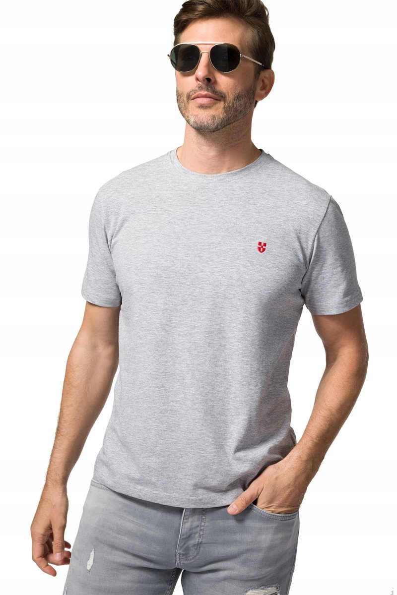 Koszulka T-shirt Męska Bawełniana Szara z Haftem Próchnik PM2 3XL
