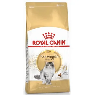 Royal Canin Norwegian Forest Adult 2 kg - Sucha karma dla kotów - miniaturka - grafika 1
