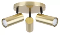 Lampy sufitowe - Candellux Lighting złote reflektorki na sufit z regulacją ustawienia COLLY 98-01726 złota lampa sufitowa spoty GU10 led ruchome tubki 98-01726 - miniaturka - grafika 1