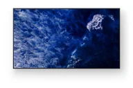 Monitory reklamowe i wyświetlacze - Sony FW-98BZ53L, 98", Wyświetlacz - miniaturka - grafika 1