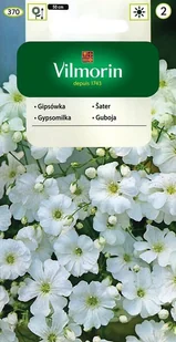 Gipsówka wytworna biała 5 g Vilmorin - Nasiona i cebule - miniaturka - grafika 1