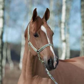 Kantary dla koni - Horze Kantar + uwiąz ARTURO - granat/zielony - miniaturka - grafika 1