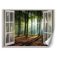 Fototapety - Fototapeta, Okno - poranek w lesie (Rozmiar 140x100) - miniaturka - grafika 1
