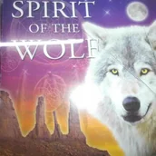 Muzyka relaksacyjna - Spirit of the Wolf Cd - Global Journey - miniaturka - grafika 1