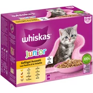 Mokra karma dla kotów - Whiskas Junior w saszetkach, 12 x 85 g - Wybór dań drobiowych w galarecie - miniaturka - grafika 1