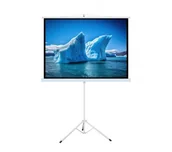 Akcesoria do projektorów - ART ERA T100 4:3 100 cali 152x203cm - miniaturka - grafika 1