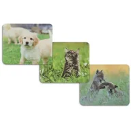Podkładki pod mysz - Podkładka HAMA Animal Display (12szt.) 126872 - miniaturka - grafika 1