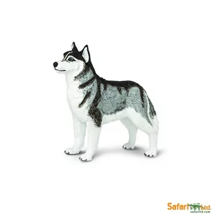 Safari Pies Husky syberyjski - Ltd. - 255229 - Figurki dla dzieci - miniaturka - grafika 1