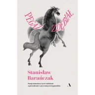 Poezja - PEGAZ ZDĘBIAŁ POEZJA NONSENSU A ŻYCIE CODZIENNE WPROWADZENIE W PRYWATNĄ TEORIĘ GATUNKÓW Stanisław Barańczak - miniaturka - grafika 1