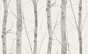 EB-Erismann 6305  10 tapeta z włókniny kolekcja paradisio - Tapety - miniaturka - grafika 1