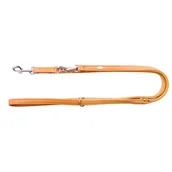 Smycze dla psów - Dingo smycz przedluzana royal 2x200cm 13831 - miniaturka - grafika 1