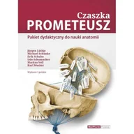 Książki medyczne - Czaszka PROMETEUSZ - Pakiet dydaktyczny do nauki anatomii - miniaturka - grafika 1
