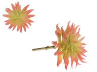 Sztuczne kwiaty - Sukulent Gałązka Gałązki Sztuczne Kwiaty Drzewko - miniaturka - grafika 1