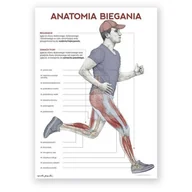 Mapy i plansze edukacyjne - Plakat anatomiczny - Anatomia biegania - Marta Pawelec - miniaturka - grafika 1