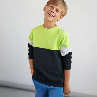 Swetry dla chłopców - Sinsay - Bluza - Wielobarwny - grafika 1