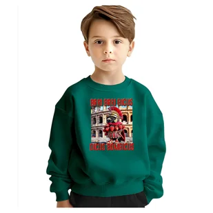 BLUZA DZIECIĘCA BRRI BICUS DICUS BOMBICUS 134-140 DLA CHŁOPCA DZIEWCZYNKI - Bluzy dla dziewczynek BLUZA DZIECIĘCA BRRI BICUS DICUS BOMBICUS 134-140 DLA CHŁOPCA DZIEWCZYNKI - Bluzy dla dziewczynek - miniaturka - grafika 1